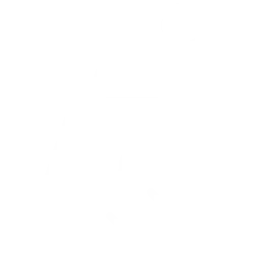 300+ Clients